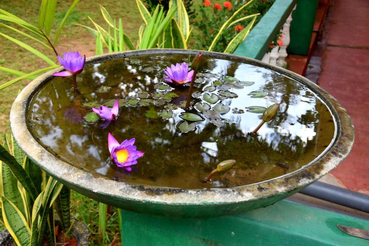 S P City Resort Anuradhapura Eksteriør bilde
