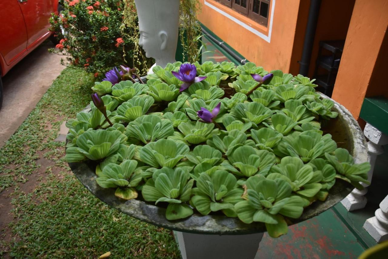S P City Resort Anuradhapura Eksteriør bilde